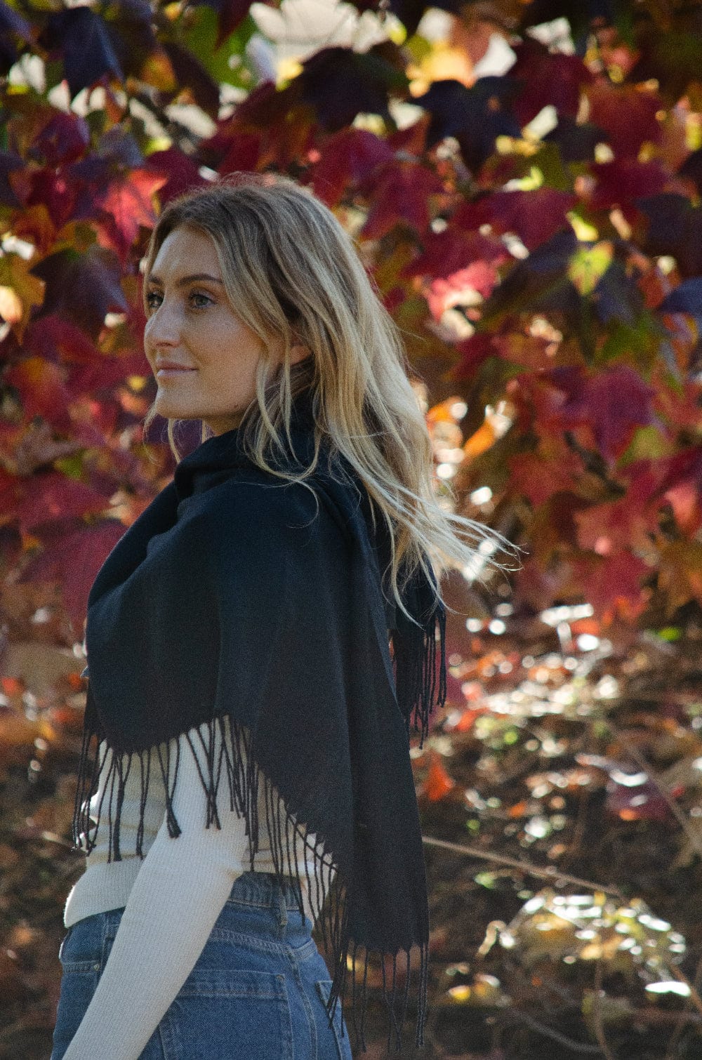 Plain Scarves, Shawls, Wraps